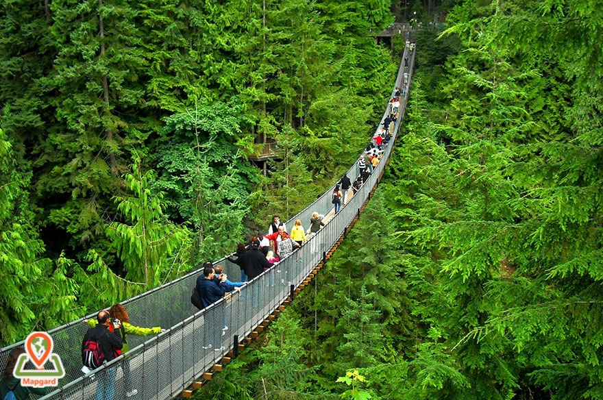 31) قدم زدن روی پل معلق کاپیلانو (Capilano Suspension Bridge) در ونکوور، کانادا 