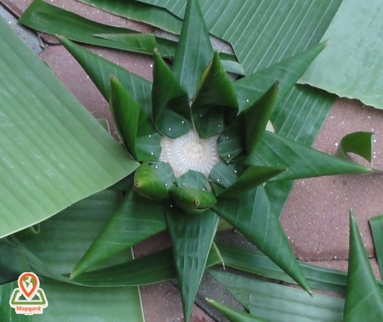 قایق های کوچک شناور ساخته شده از ساقه‌ موز و تزیین شده با دود، گل و شمع