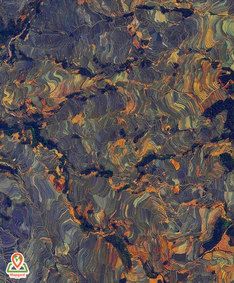 کشتزارهای برنج (Rice Terraces) چین