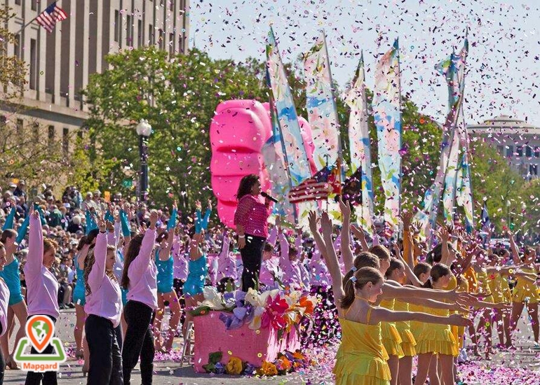 جشنواره شکوفه های گیلاس امروزی ژاپن به چه شکل است؟