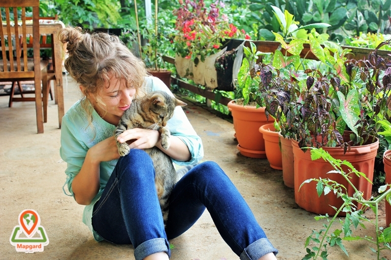 مراقبت از خانه های دیگران