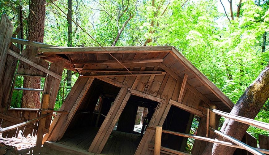 خانه اسرارآمیز اورگون ورتکس (Oregon Vortex) | جایی که قوانین فیزیک در آن بی معنی است