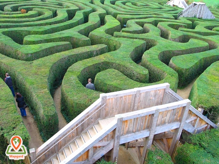 راه خروج از مارپیچ لانگلیت چیه؟