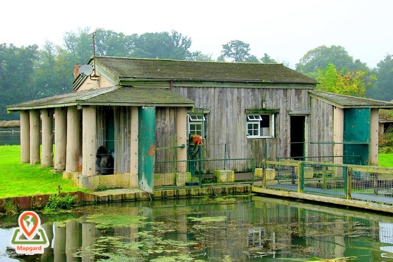 مارپیچ های لانگلیت