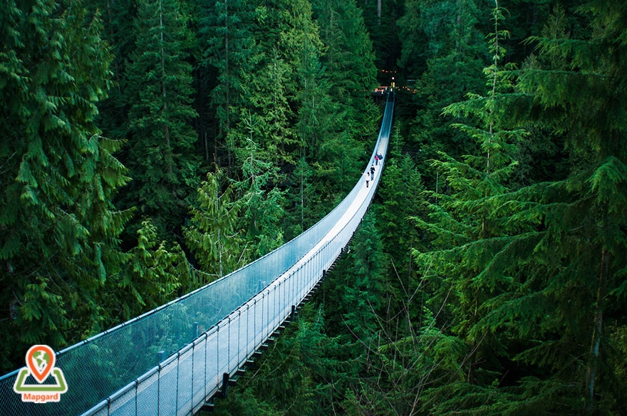 قدم زدن روی پل معلق کاپیلانو (Capilano Suspension Bridge) در ونکوور، کانادا 