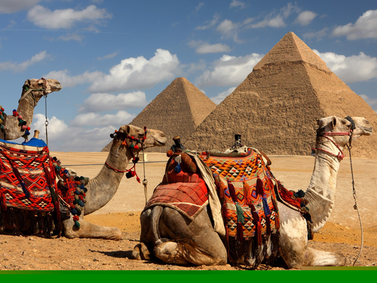 گشت و گذار در اطراف اهرام جیزه با شتر