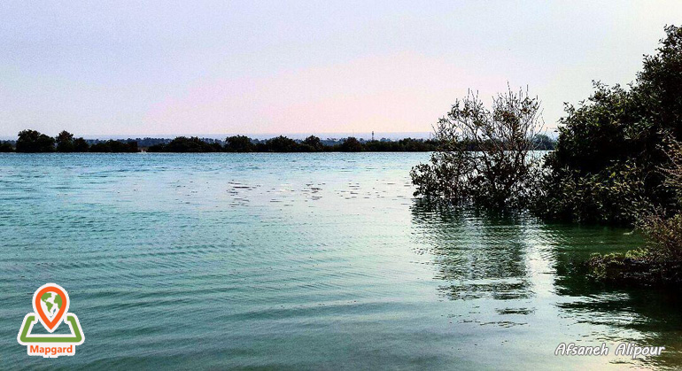 جنگل های حرا، یک منطقه گردشگری ناب جنگل های حرا، یک منطقه گردشگری ناب