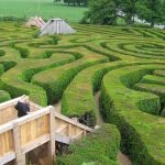 مارپیچ لانگلیت (Longleat Hedge Maze) | ماجراجویی سخت اما جالب برای توریست ها