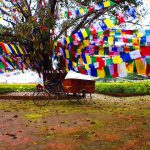 سفرنامه نپال (قسمت اول) | شروع برزخی