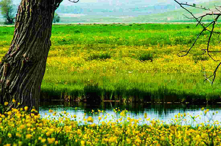 10) کهگیلویه و بویراحمد، طبیعت زیبای گرمسیری 10) کهگیلویه و بویراحمد، طبیعت زیبای گرمسیری