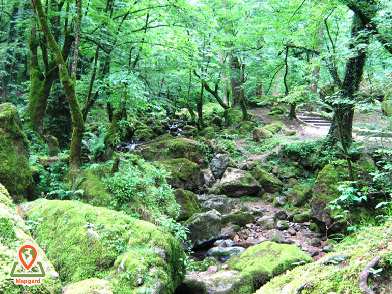 رودخانه کنار پله های قلعه رودخان رودخانه کنار پله های قلعه رودخان