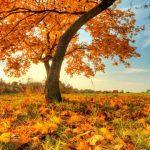 10 مقصد برتر برای سفر خارجی در اکتبر (مهر-آبان) | قسمت اول