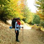 پیاده روی جنگل خلخال به اسالم (قسمت چهارم) | بلوط شوم