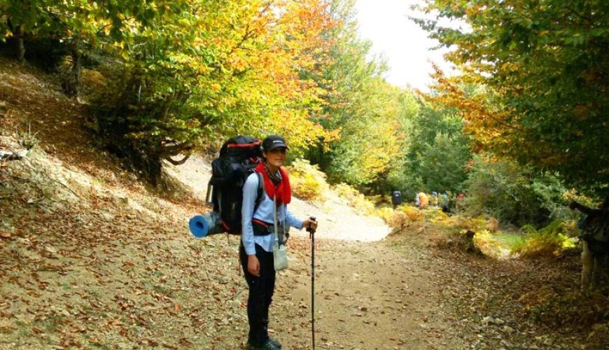 پیاده روی جنگل خلخال به اسالم (قسمت چهارم) | بلوط شوم