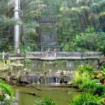 باغ پرندگان کوالالامپور | بزرگترین پارک پرواز آزاد جهان